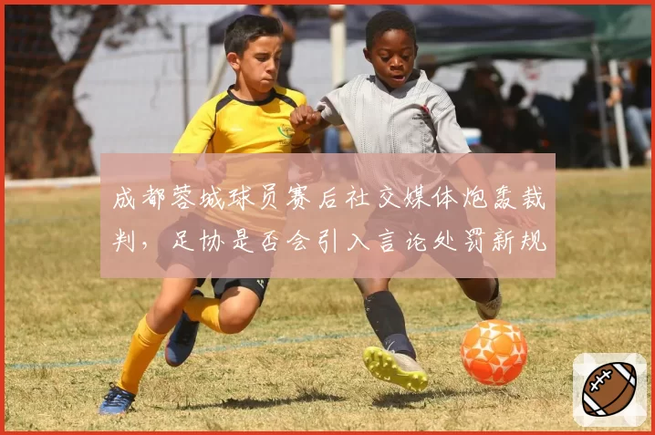 成都蓉城球员赛后社交媒体炮轰裁判,足协是否会引入言论处罚新规