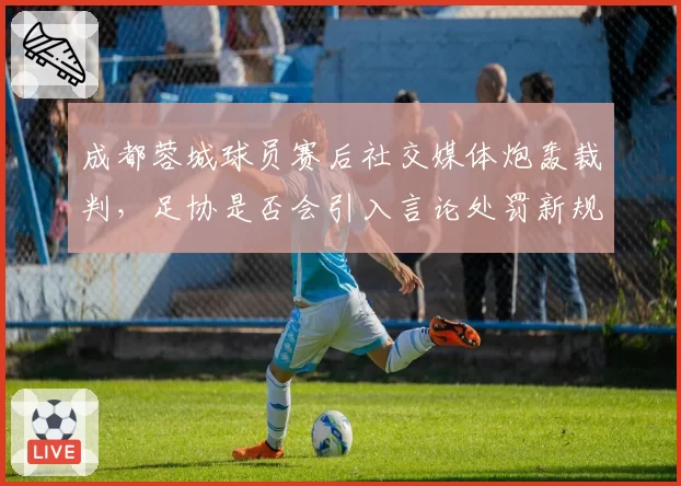 成都蓉城球员赛后社交媒体炮轰裁判,足协是否会引入言论处罚新规